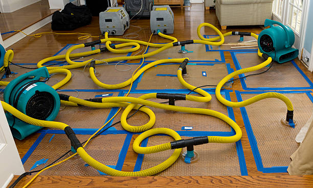 Professional Crawl Space Water Removal technician working in Montgomery City, MO